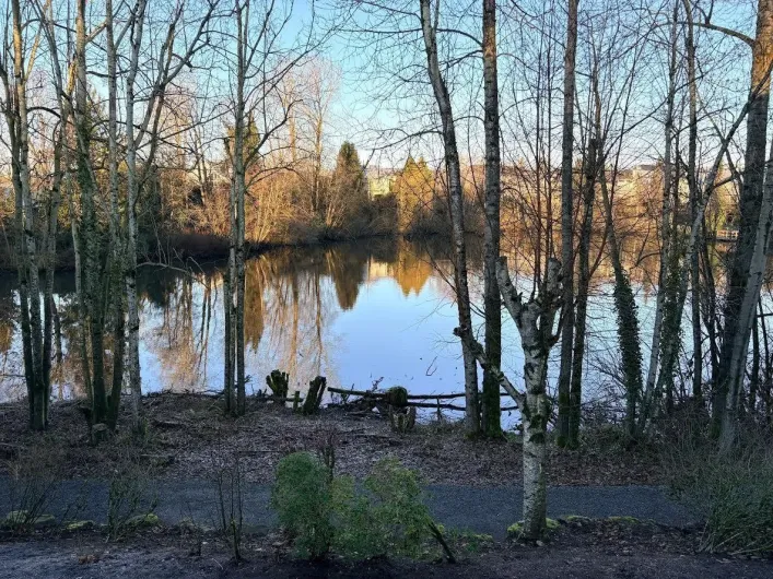 8 31501 UPPER MACLURE ROAD, Abbotsford