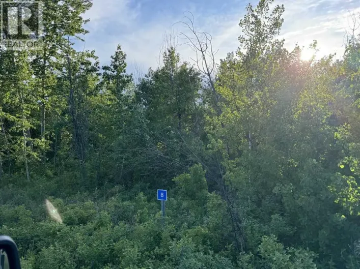 8 Buffalo Drive, Rural Stettler No. 6, County of