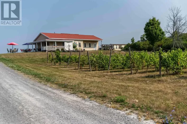 804 CLOSSON ROAD, Prince Edward County