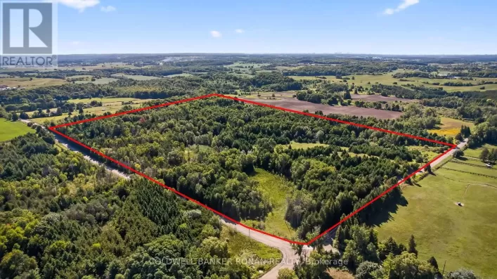 8155 19TH SIDE ROAD, King