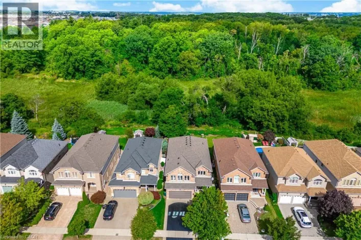 84 MEADOWBANK Drive, Hamilton