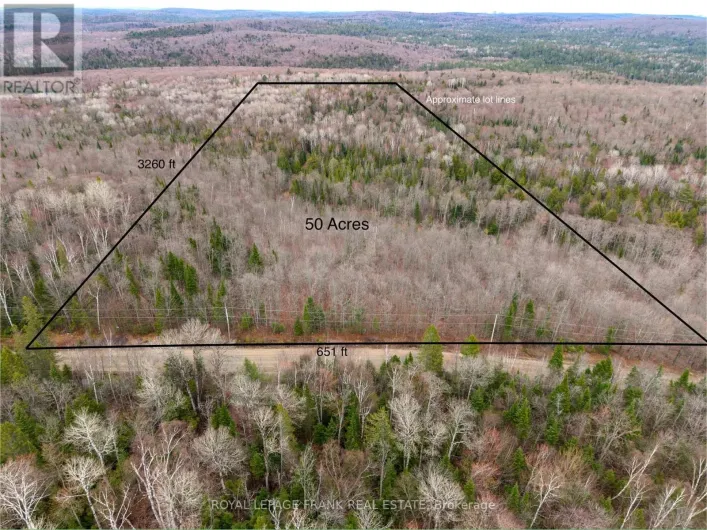 841 NORTH MCKENZIE LAKE ROAD, South Algonquin