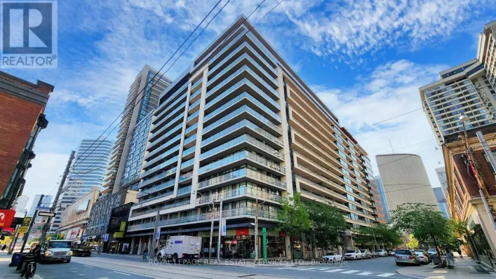 852 - 111 ELIZABETH STREET, Toronto