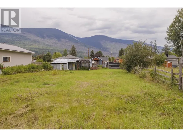 874 3RD AVENUE, McBride