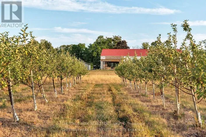890 DANFORTH ROAD, Prince Edward County