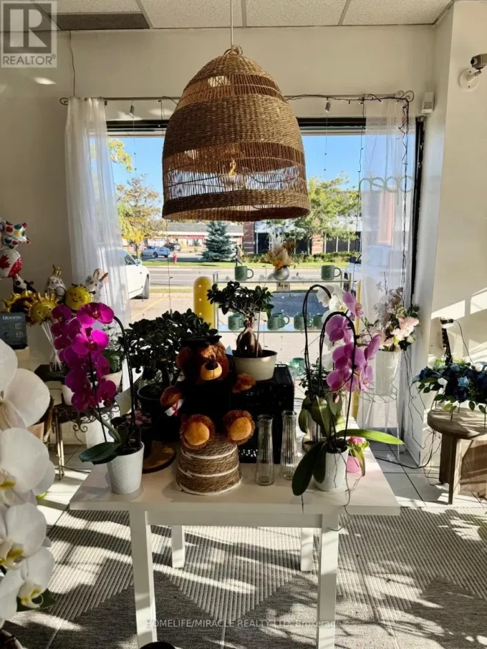 9 - 332 MAIN STREET N, Brampton