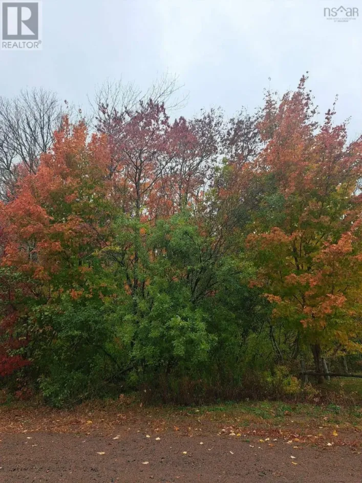 9 Miller Court, Wentworth Valley