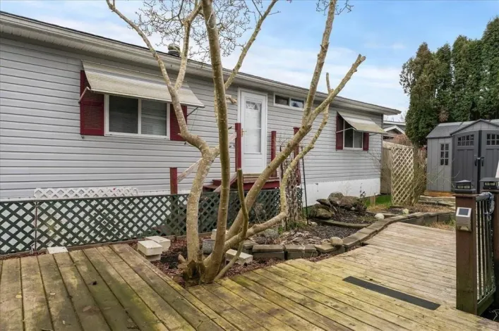 91 3300 HORN STREET, Abbotsford