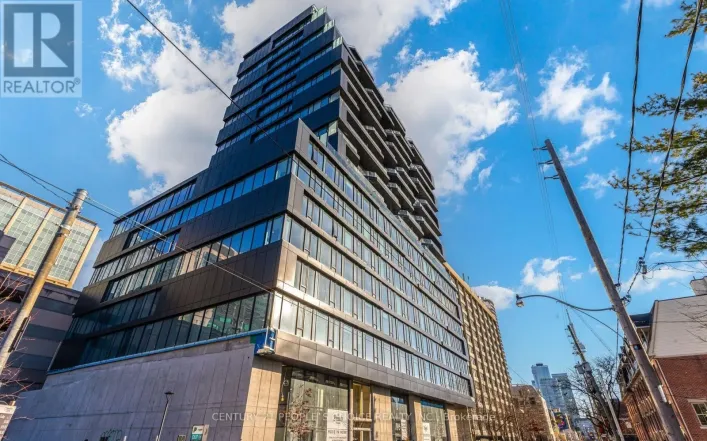 910 - 195 MCCAUL STREET E, Toronto