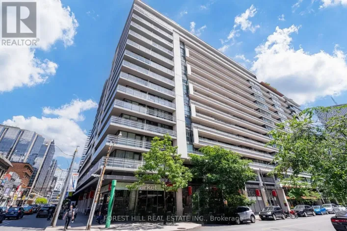 917 - 111 ELIZABETH STREET, Toronto