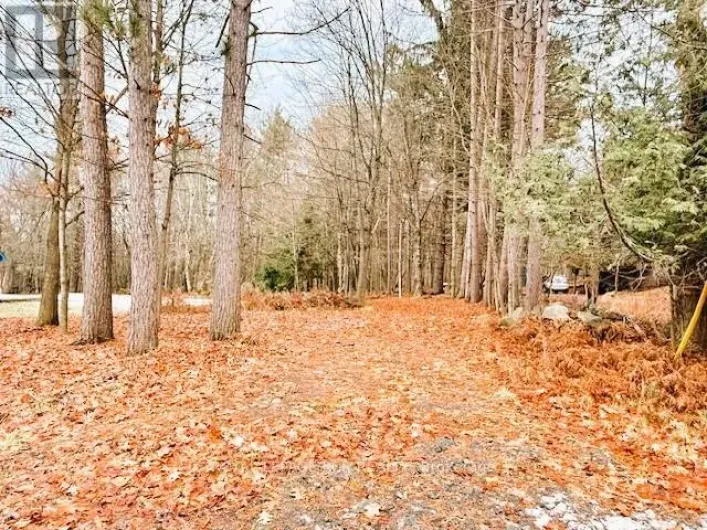 93 TOWN LINE ROAD W, Huntsville