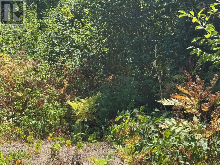 931 RIVER ROAD E, Wasaga Beach