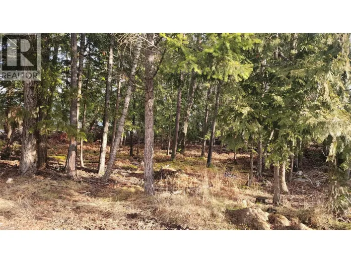 938 23 Highway, Nakusp