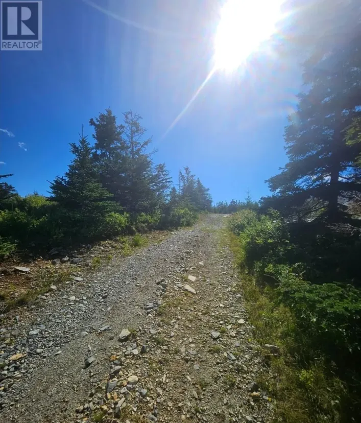 95A Chipmans Road, Spaniards Bay