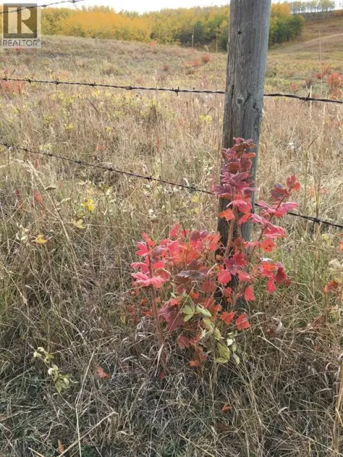 96 Street W, Rural Foothills County