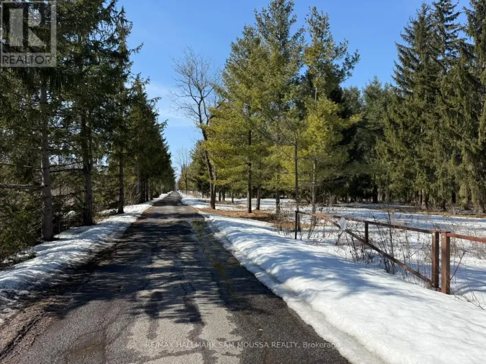 970 CAMERON STREET, Ottawa