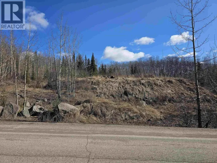970 NASH ROAD, Burns Lake