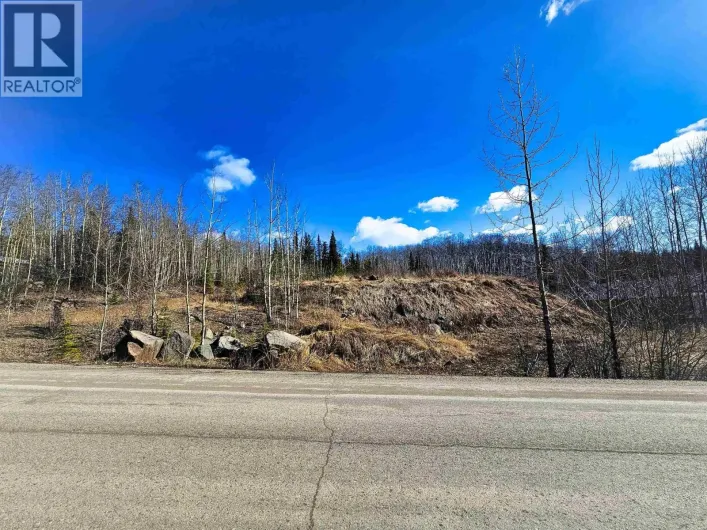 970 NASH ROAD, Burns Lake