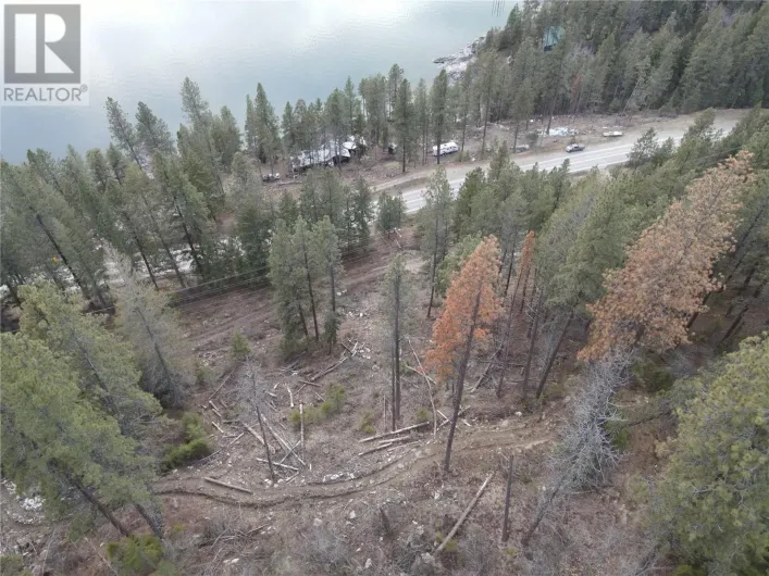 9779 3A Highway Lot# D, Kuskanook