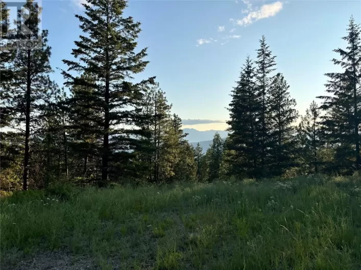 980 Bullmoose Way, Osoyoos