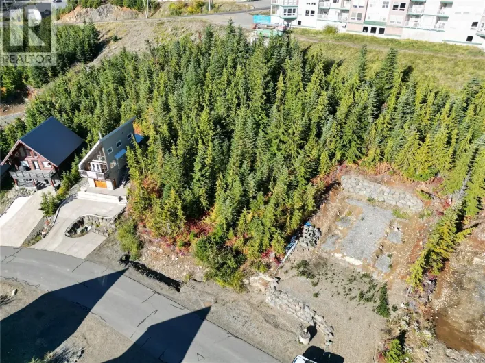 980 Cruikshank Ridge, Courtenay