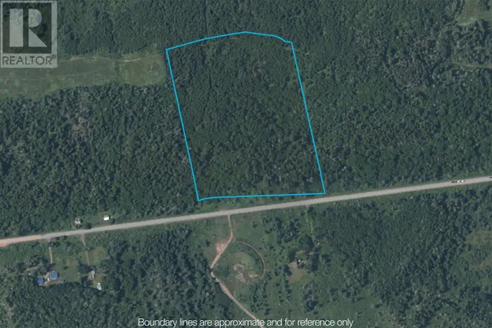 9801 Highway 209, Diligent River