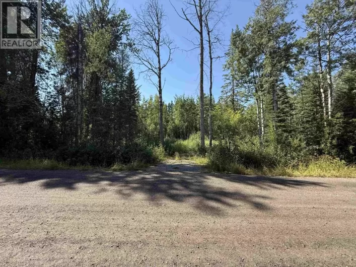 9819 BIRCHILL CRESCENT, Prince George