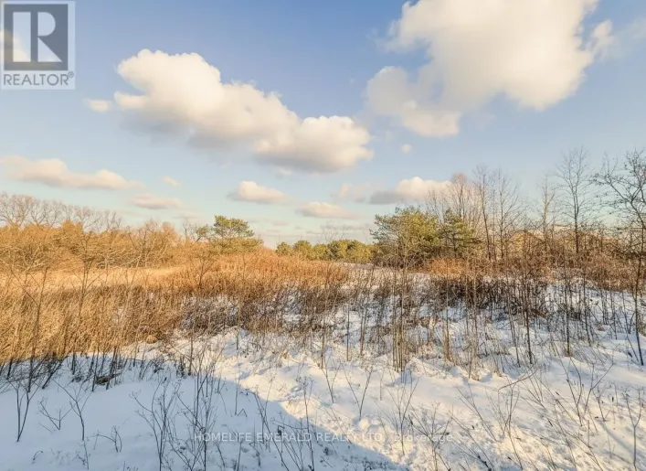 9829 10 COUNTY ROAD, Clearview