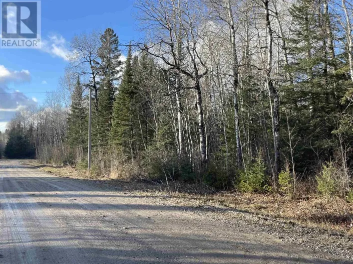 99 Shelley Lane, Dryden