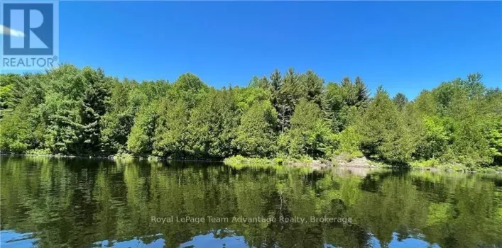 990 SHAWANAGA LAKE ROAD, Whitestone