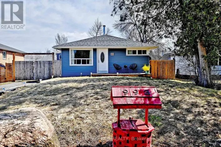 993 BARTON AVENUE, Georgina