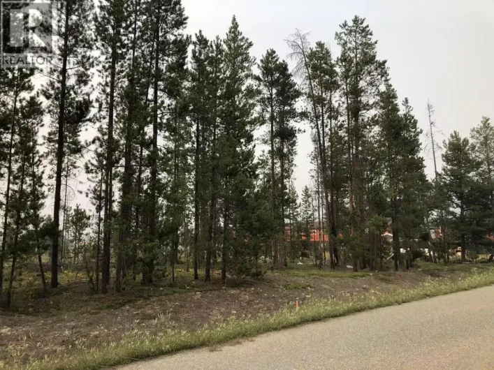 995 S CRANBERRY LAKE ROAD, Valemount