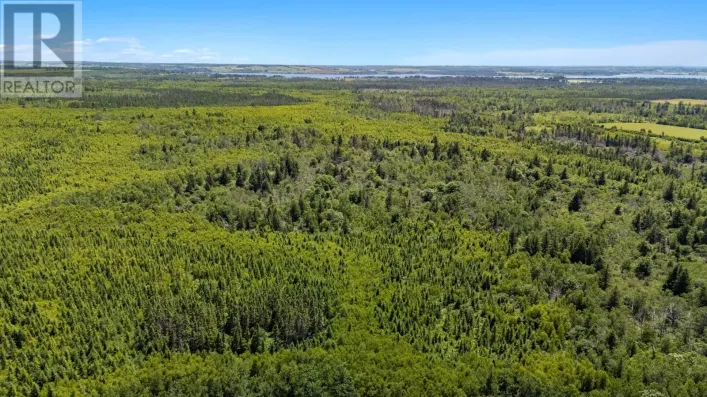 ACREAGE CABLE HEAD WEST|Route 336, Cable Head West