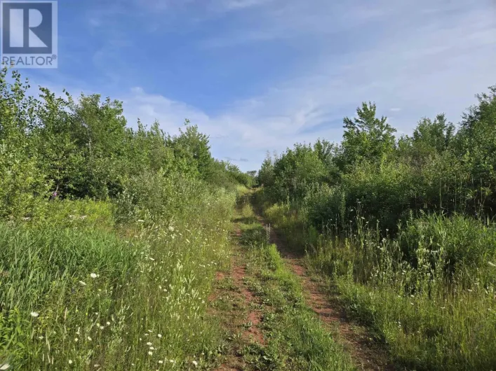 Acreage Deblois Road, DeBlois