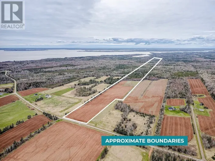 ACREAGE PRIMROSE Road, Launching