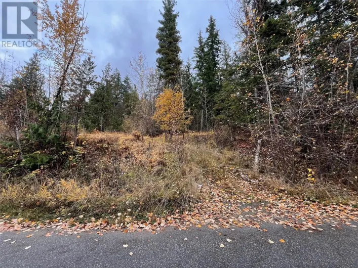 Anglemont Drive Lot# 150, Anglemont