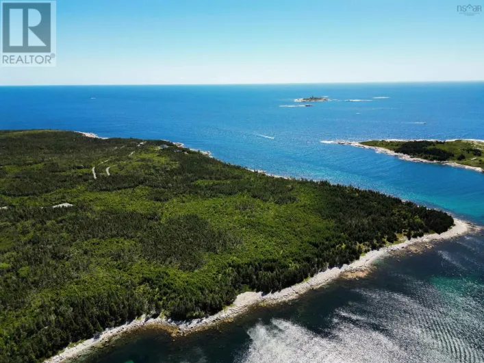 Bald Rock Road, Bald Rock