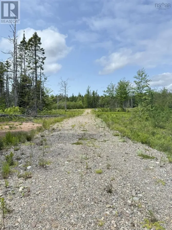 Barren Road, River Denys