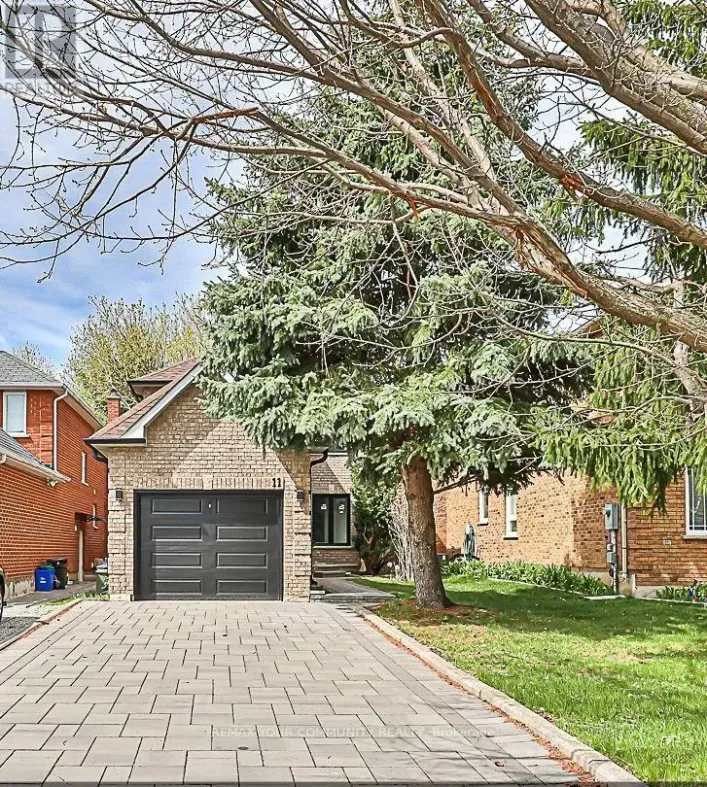 BASEMENT - 11 NEWMILL CRESCENT, Richmond Hill
