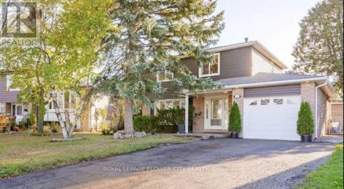 BASEMENT - 12 GONDOLA CRESCENT, Brampton