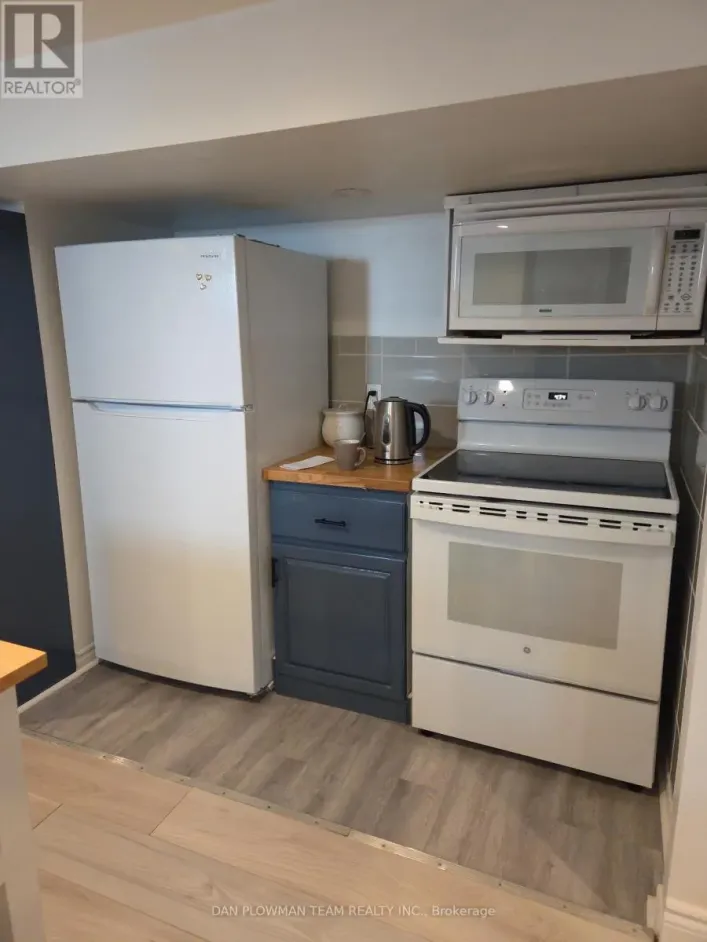 BASEMENT - 131 CENTRAL PARK BOULEVARD N, Oshawa