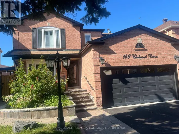 BASEMENT - 146 CHELWOOD DRIVE N, Vaughan