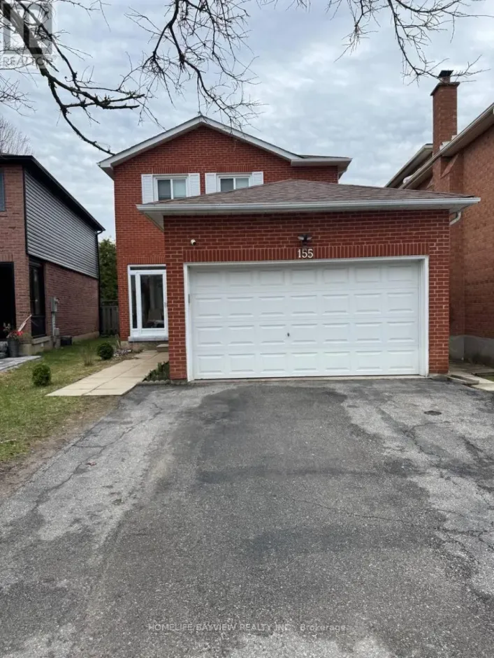BASEMENT - 155 KERSEY CRESCENT, Richmond Hill