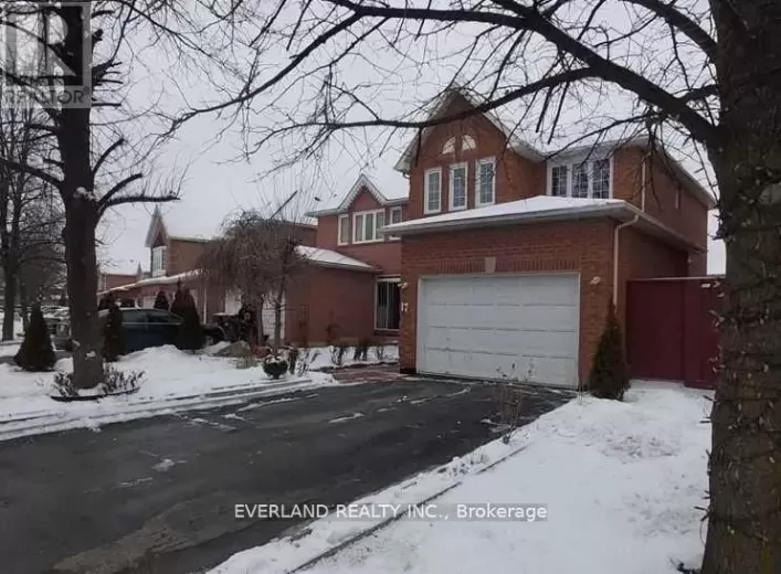 BASEMENT - 17 LETTY AVENUE, Brampton