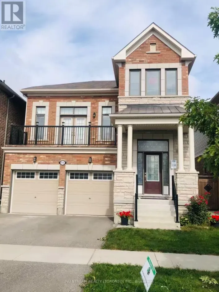 BASEMENT - 175 WESTFIELD DRIVE, Whitby