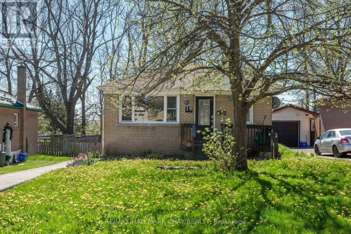 BASEMENT - 19 AGNES STREET, Barrie