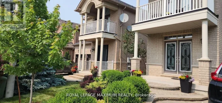 BASEMENT - 19 MAPLE FOREST DRIVE, Vaughan