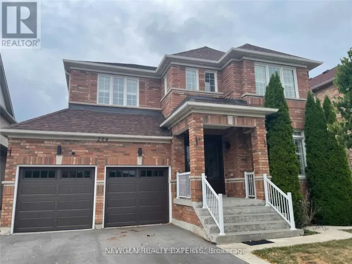 BASEMENT - 204 MOUNTAINASH ROAD, Brampton