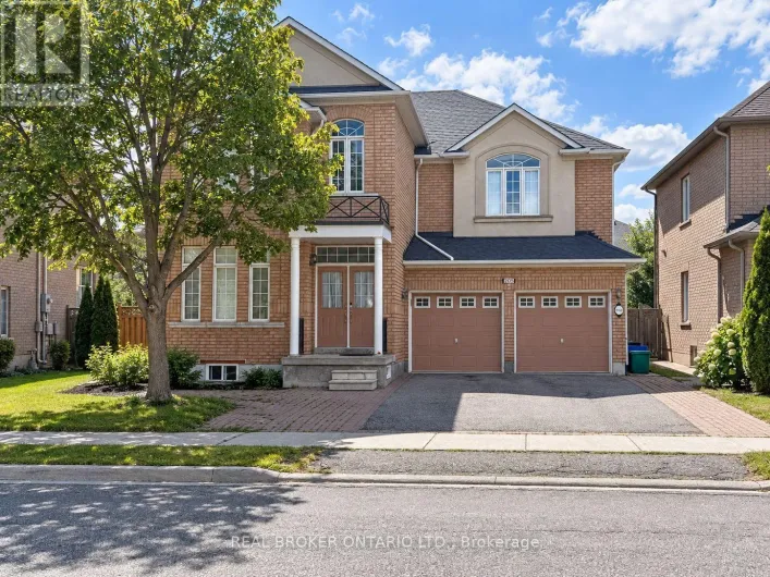 BASEMENT - 205 LA ROCCA AVENUE, Vaughan