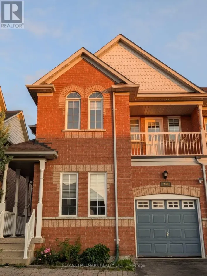 BASEMENT - 209 OLD COLONY ROAD S, Richmond Hill